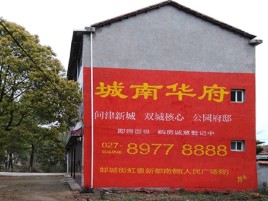 南江百分之90的人都不了解的农村墙体广告