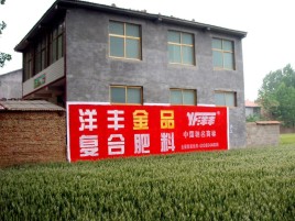 南江如何让墙体广告展现最大化效果