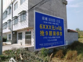 南江墙体广告质量分析