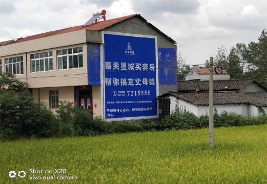 南江决定墙体广告价格的因素有哪些？