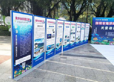 南江KT板的种类和知识。